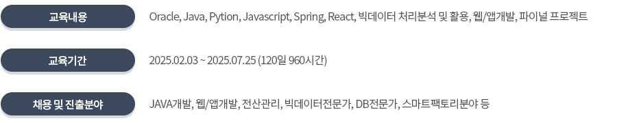 JAVA 개발자
