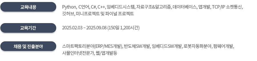 IoT 시스템 개발자
