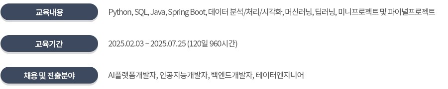 AI 개발 전문가